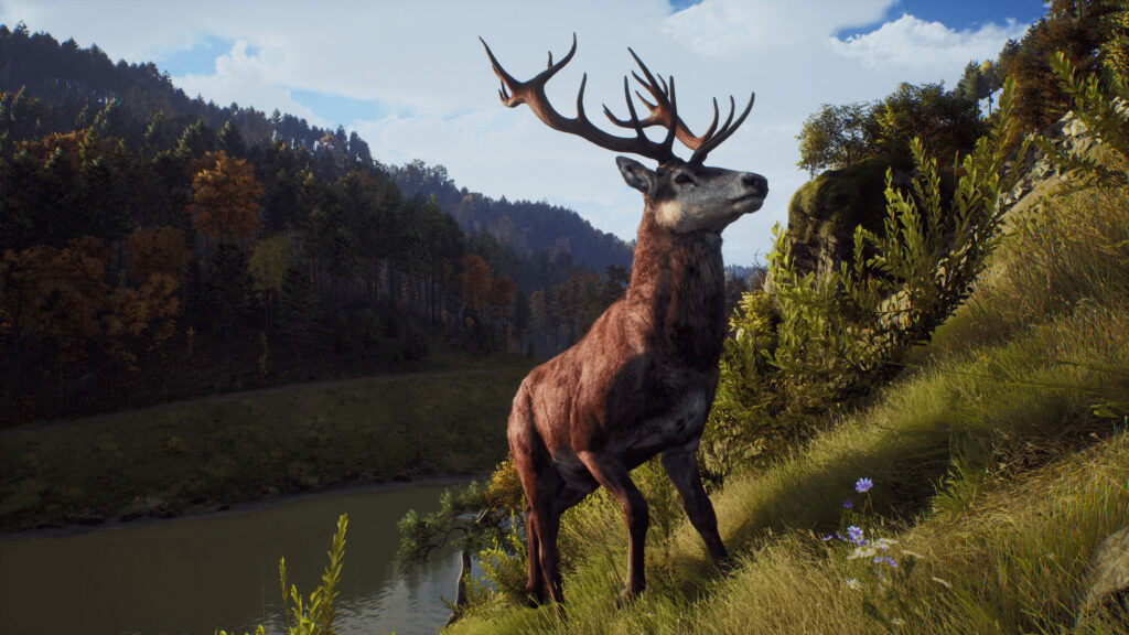 Way of the Hunter PS5 Review